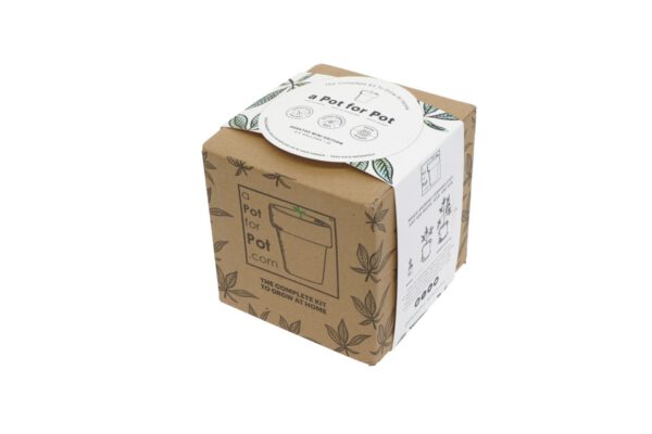 marijuana grow kit