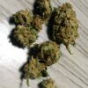 Tangerine dream near me