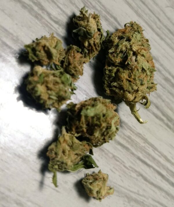 Tangerine dream near me