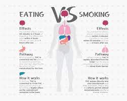 Psychoactive Properties Of Ingesting Cannabis V.S Smoking