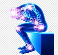 What Cbd strain is best for pain