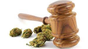 pros and cons of marijuana legalization