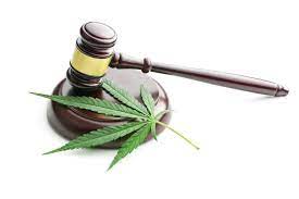 THE EFFECTS OF LEGALIZING MARIJUANA