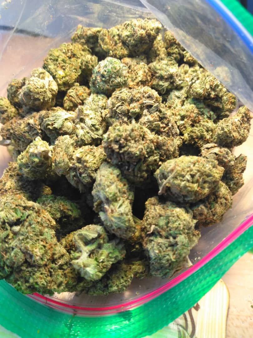 Top Sativa Dominant Hybrid Strains